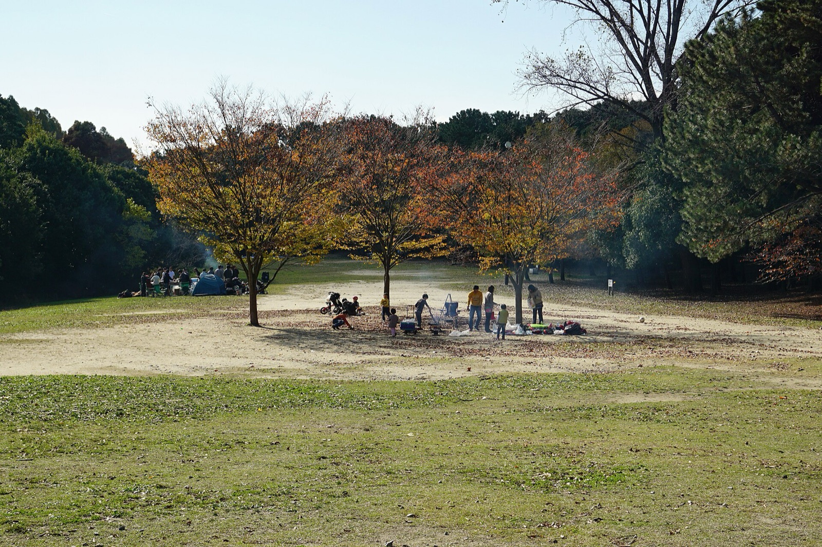 服部緑地の芝生広場
